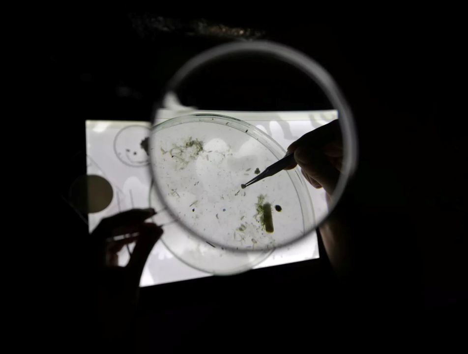 Microplastics: Are we facing a new health crisis – and what can be done about it?
